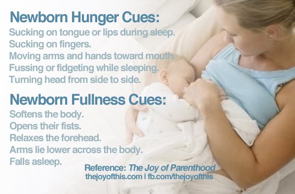 Simple Tips That Reveal Your Newborn Is 